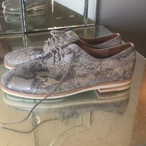 Gentle Souls Reptile Print Oxford